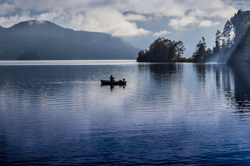 Peaceful Reflection